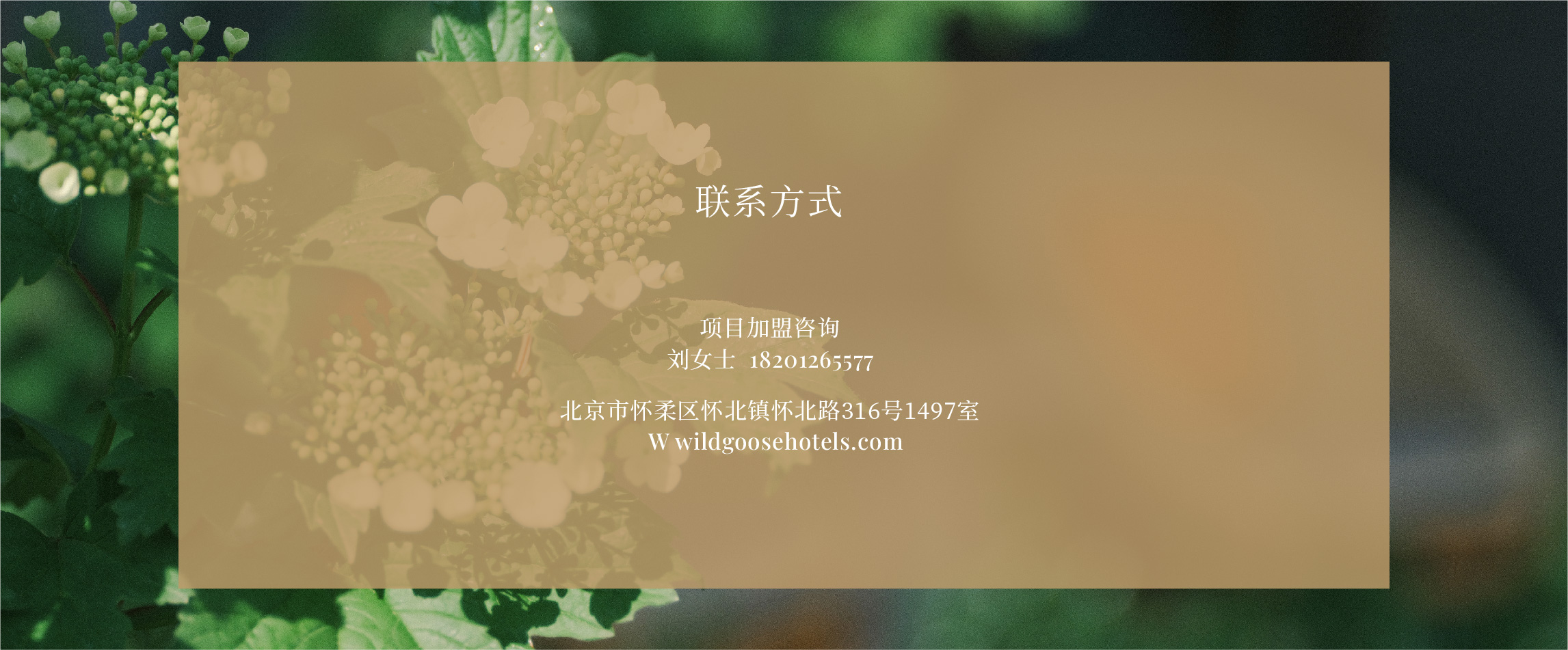 9e66277b9004d8bac86756c703fd21f1.jpg
