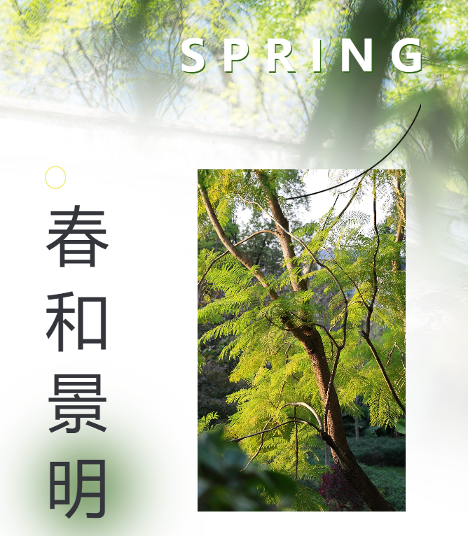 【四月寻春】解锁春天的N种玩法