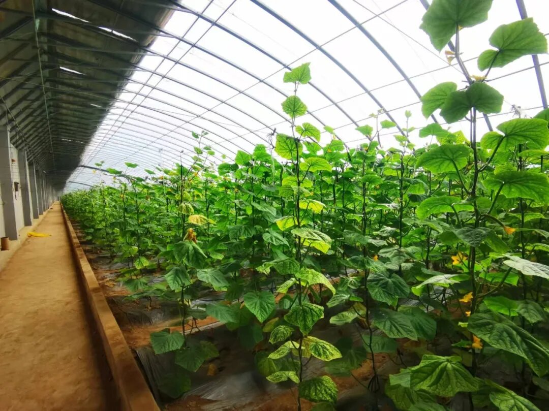 对话自然 亲鉴品质 | 生态溯源之旅，山东学府为您甄选食材