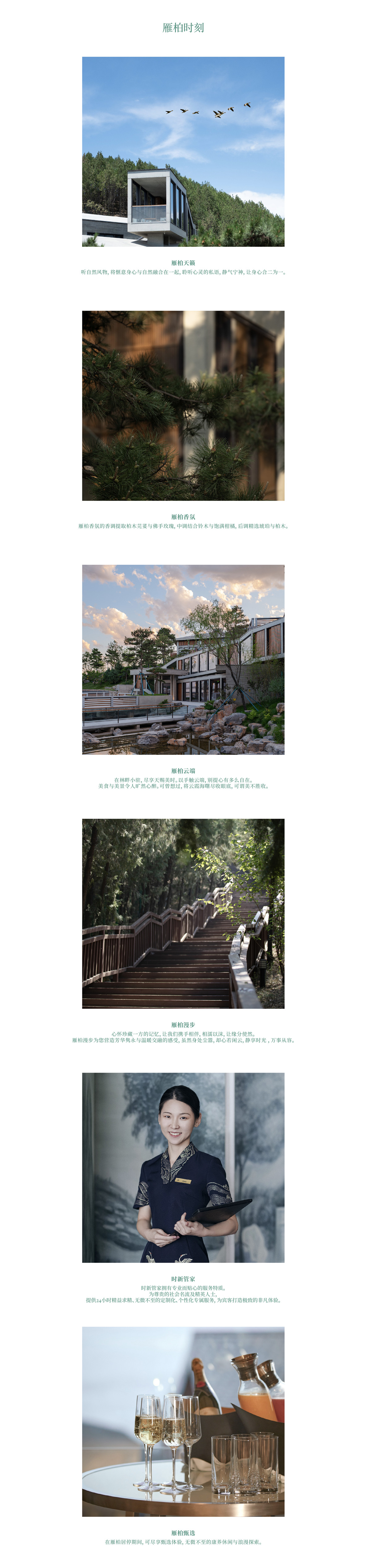 网站-雁柏时刻_画板 1 副本.jpg