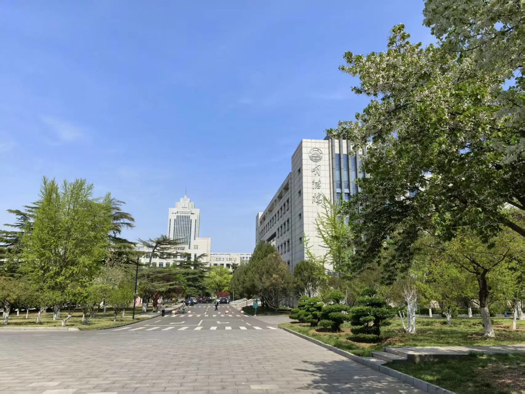 六月为陆 行路逐光｜逐梦升学路 山大伴新程