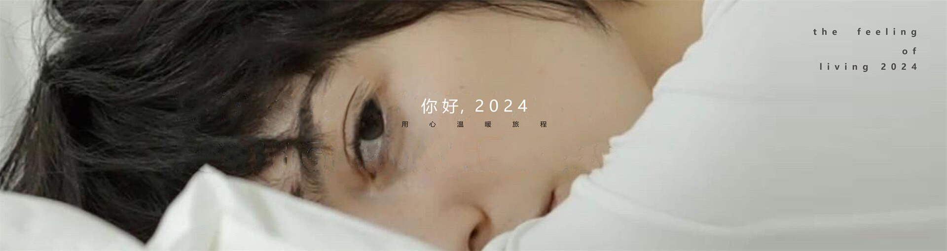 品牌2024
