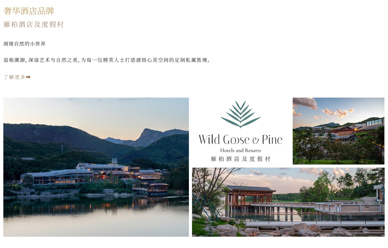 我们的酒店_画板 1.jpg